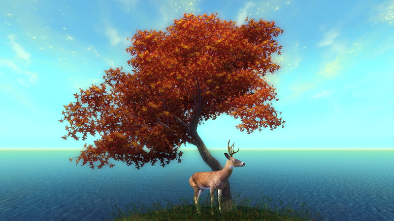 1080P, The Elder Scrolls IV: Oblivion, The Elder Scrolls
