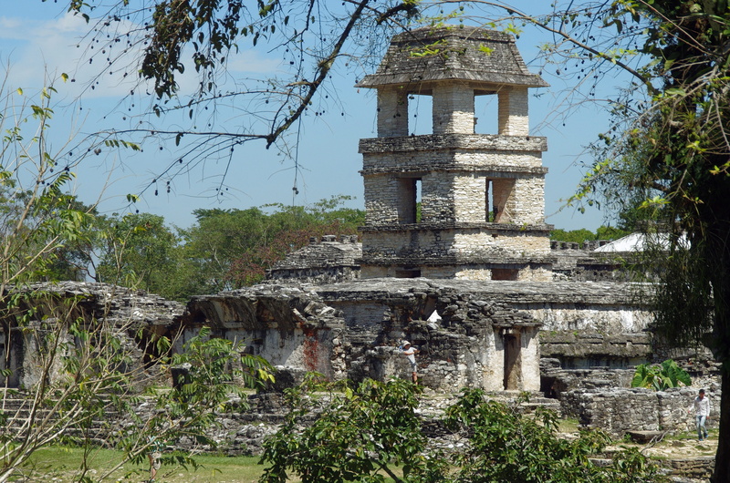maya, abandoned, ancient, the past, travel, old ruin, building exterior, run-down, old, obsolete, damaged, palenque, architecture, mesoamerica, plant, 4K