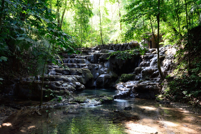 nature, beauty in nature, flowing water, rock - object, green color, land, 5K, water, tree, stream - flowing water, outdoors, scenics - nature, rock, forest