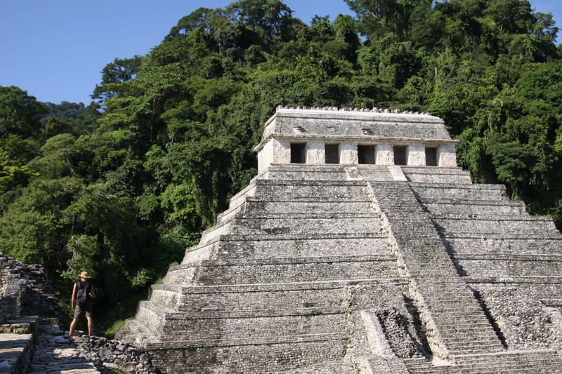 temple, tree, palenque, ruined, ancient civilization, plant, building exterior, tourism, ruins, chichen itza, travel, history, built structure, archaeology