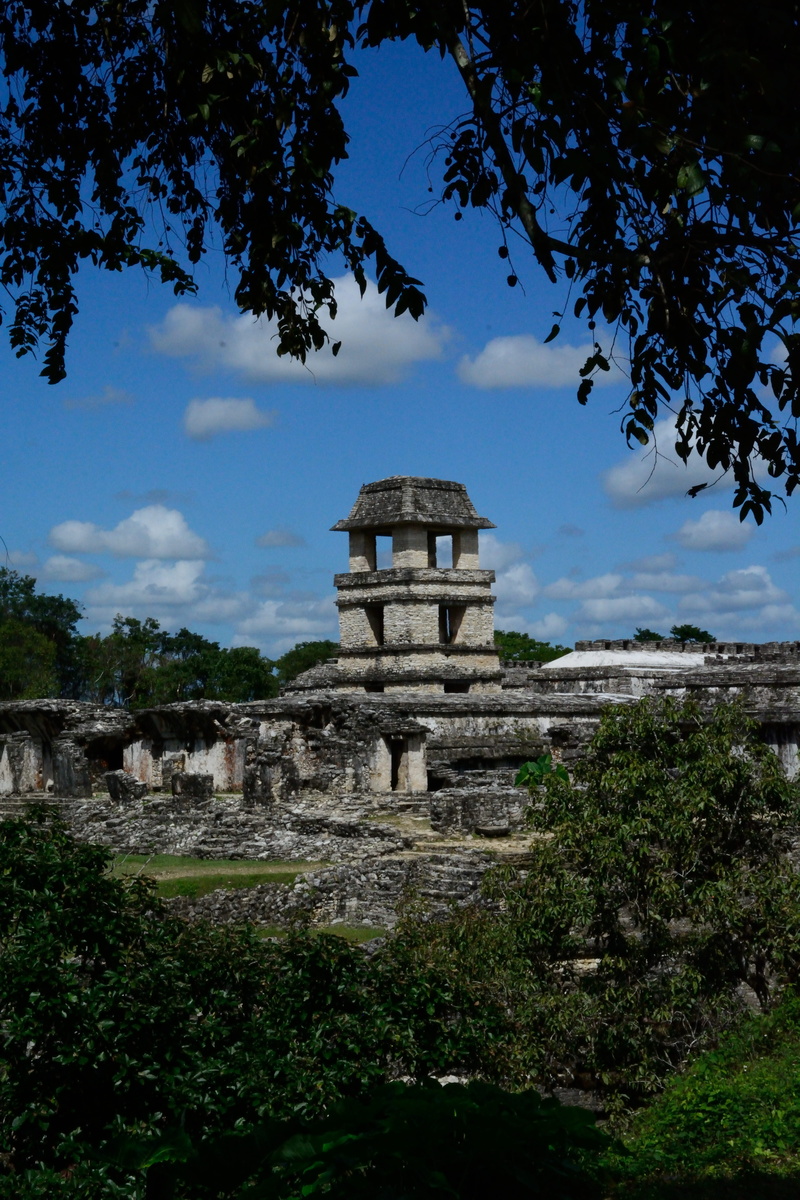 sky, building exterior, ancient civilization, nature, history, 5K, travel destinations, palenque, ruined, cloud - sky, built structure, outdoors, plant
