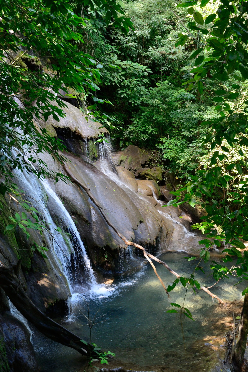 waterfall, flowing, jungle, rainforest, water, mexico, falling water, motion, nature, long exposure, rock - object, power in nature, tree, cascade, palenque