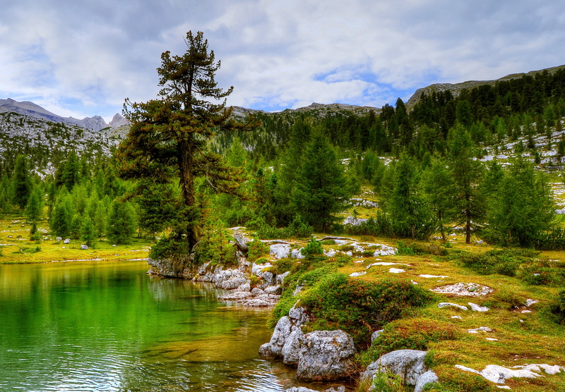 plant, rock - object, beauty in nature, mountains, mountain, pine, green color, water, fanes alm, coniferous tree, forest, sky, solid, outdoors, tranquility