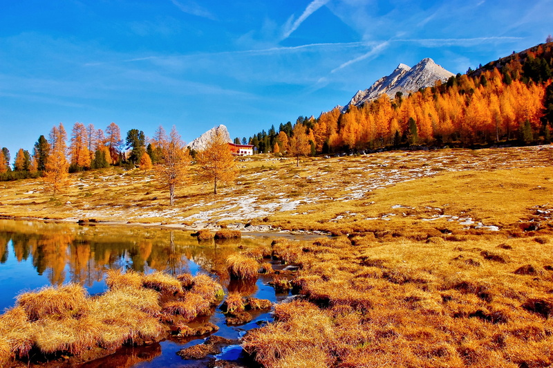 hike, alpine, italy, mountains, nature, lake, hiking, tree, non-urban scene, pine woodland, sky, scenic, tranquil scene, bergsee, fanes alm, coniferous tree