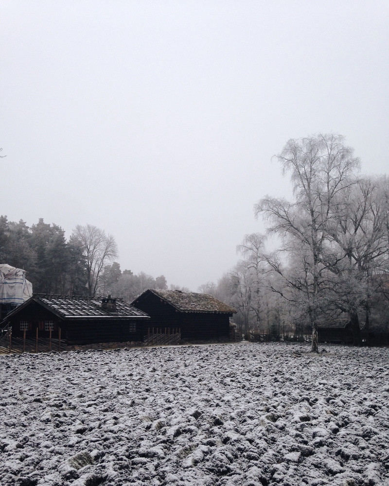 tree, 2K, oslo, snowing, the norwegian museum of cultural history, snow, winter, architecture, trees, folk, bare tree, clear sky, cold temperature, forest