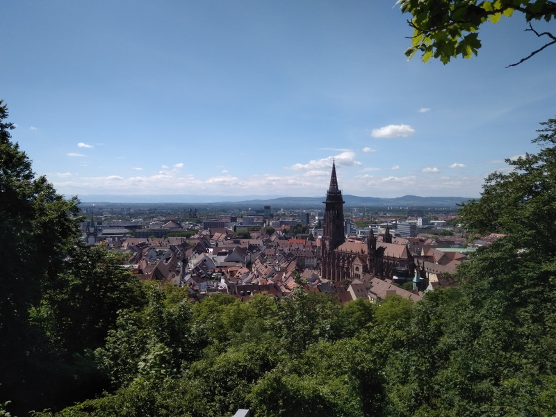 location, growth, religion, tourism, cityscape, built structure, plant, building, day, black forest, view, city, schlossberg, place of worship, münster