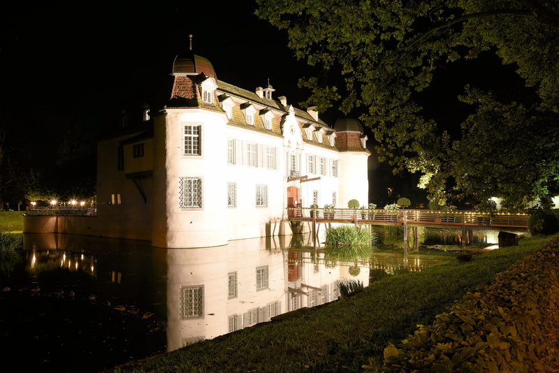 outdoors, residential district, religion, built structure, plant, water, Castle, castle, basel, city, bottmingen, growth, tree, night, architecture, illuminated