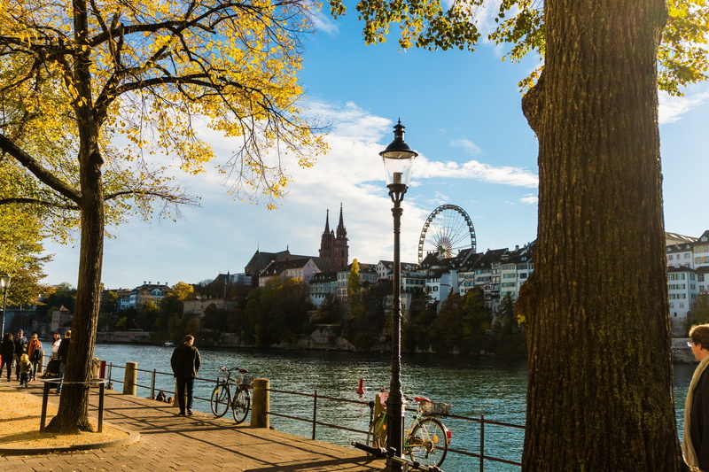 autumn, building exterior, river, basel, plant, city, tourism, trunk, travel, built structure, outdoors, autumn colours, nature, rhine, church buildings