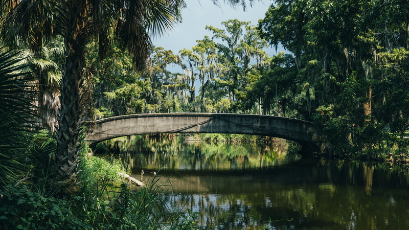 new orleans, reflection, no people, arch bridge, bridge, tree, connection, vegetation, architecture, park, growth, nature, built structure, outdoors, day