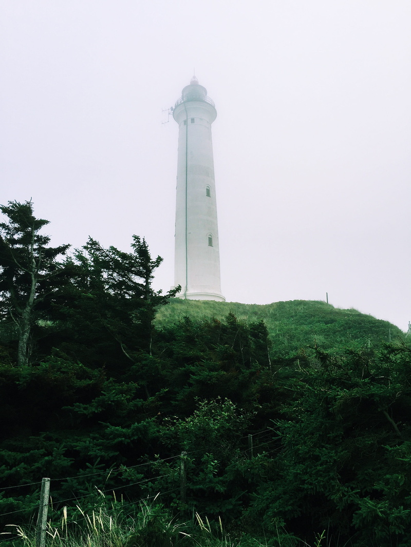 tree, building, tower, 2K, low angle view, protection, foggy, no people, architecture, green color, guidance, built structure, security, sky, fog, day