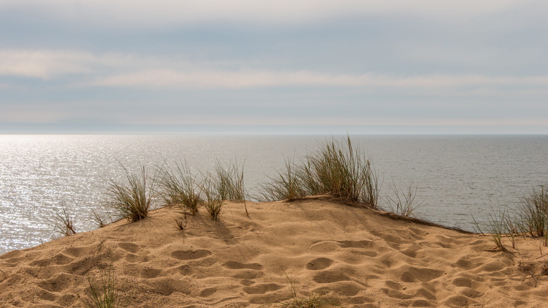 scenics - nature, nature, land, sea, mood, dune, north sea, water, body, sand dune, non-urban scene, next, marram grass, dunes, tranquility, sand road