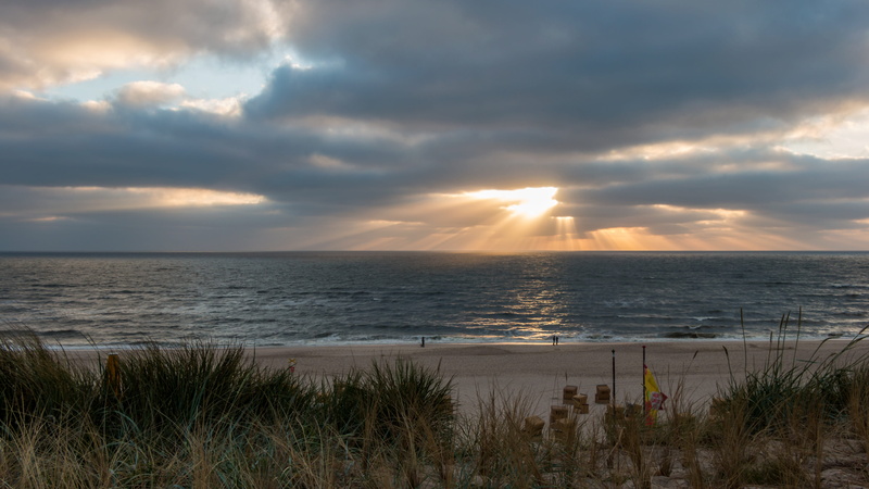 cloud - sky, marram grass, idyllic, tranquil scene, sand, sunset, island, water, clouds, sylt, sea, nature, light, horizon over water, land, beach, tranquility