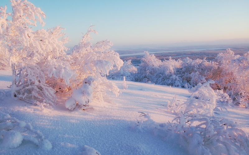 amazing, winter, coated, nature, snow, landscape, 3d and abstract, 2K, beautiful, trees