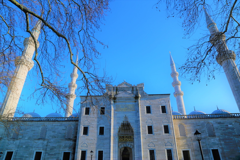 low angle view, tree, blue, 5K, day, travel, city, süleymaniye, istanbul, building, bare tree, architecture, religion, on, built structure, islam, cami