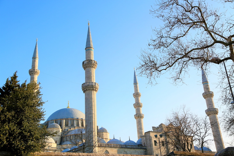 spirituality, tourism, low angle view, 5K, turkey, plant, travel destinations, city, süleymaniye, building exterior, architecture, islam, nature, place of worship