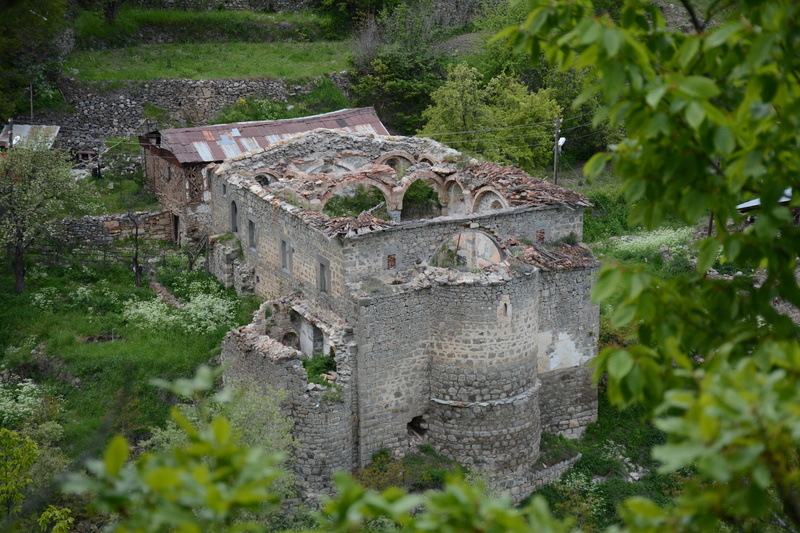spring, growth, selective focus, high angle view, built structure, old, day, building, nature, wall, süleymaniye, focus on background, the past, gümüşhane