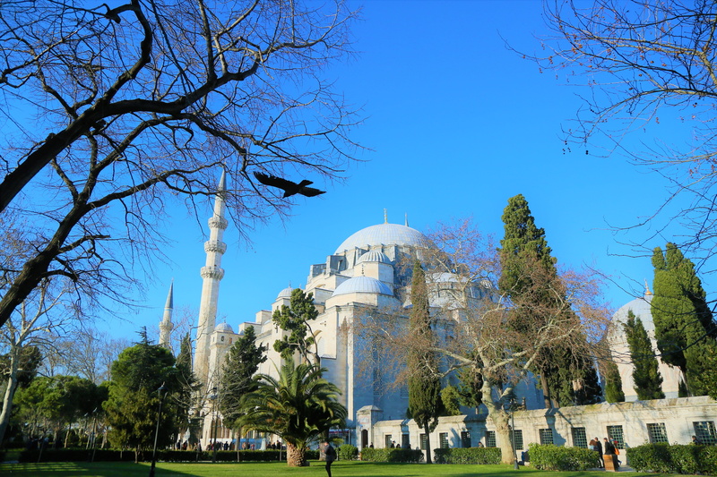 minaret, tree, travel destinations, incidental people, outdoors, travel, tourism, süleymaniye, city, clear sky, beautiful, turkey, istanbul, religion, architecture