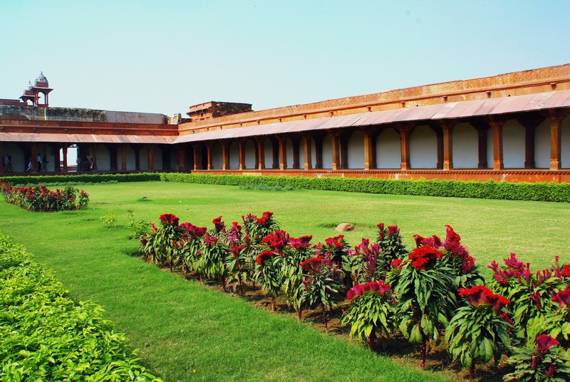 no people, cloister, flowering plant, architecture, day, field, growth, flower, outdoors, fahtepur sikri, green color, travel destinations, india, 2K