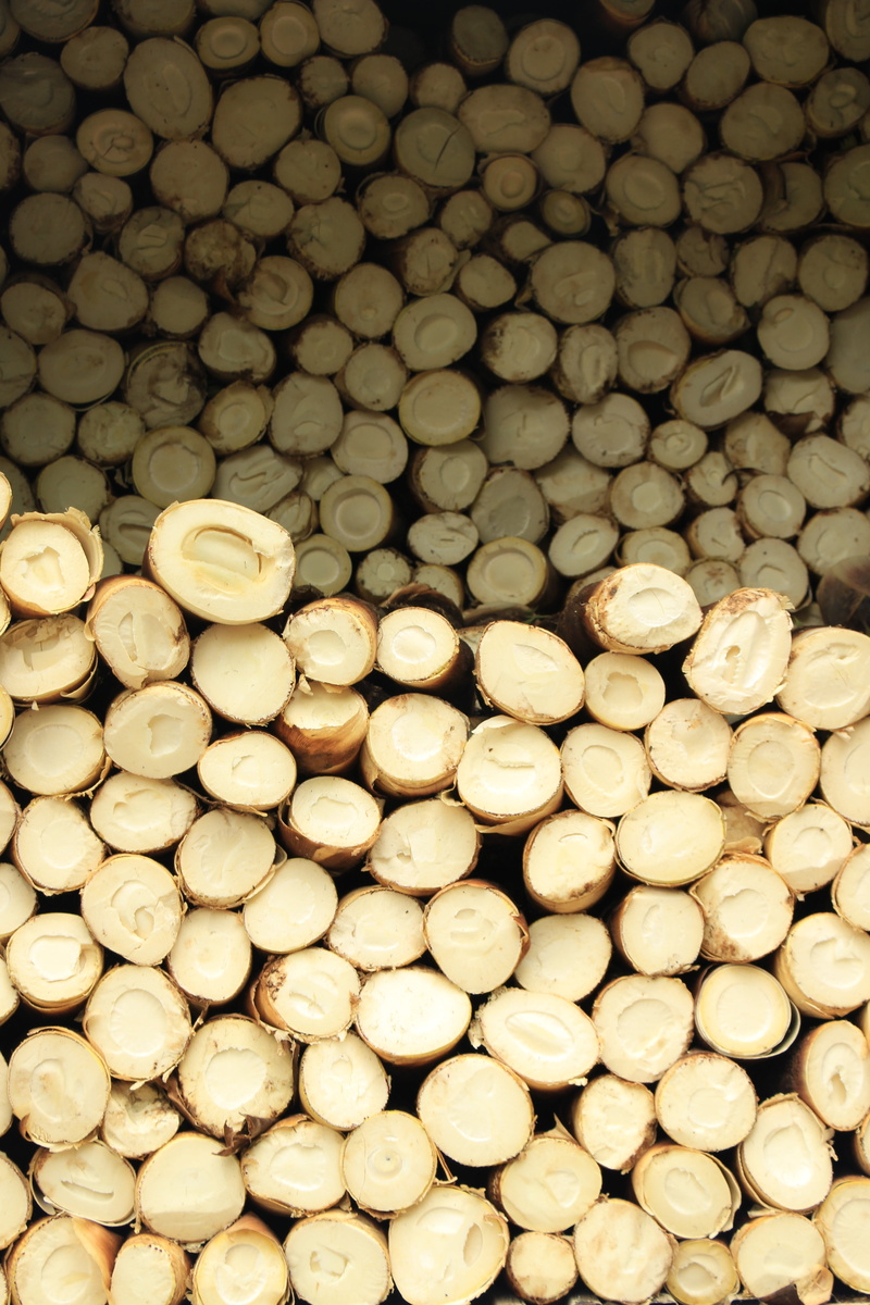 5K, freshness, backgrounds, wood, nature, food, indoors, nut, bamboo shoot, bamboo shoots, no people, still life, wellbeing, for sale, healthy eating