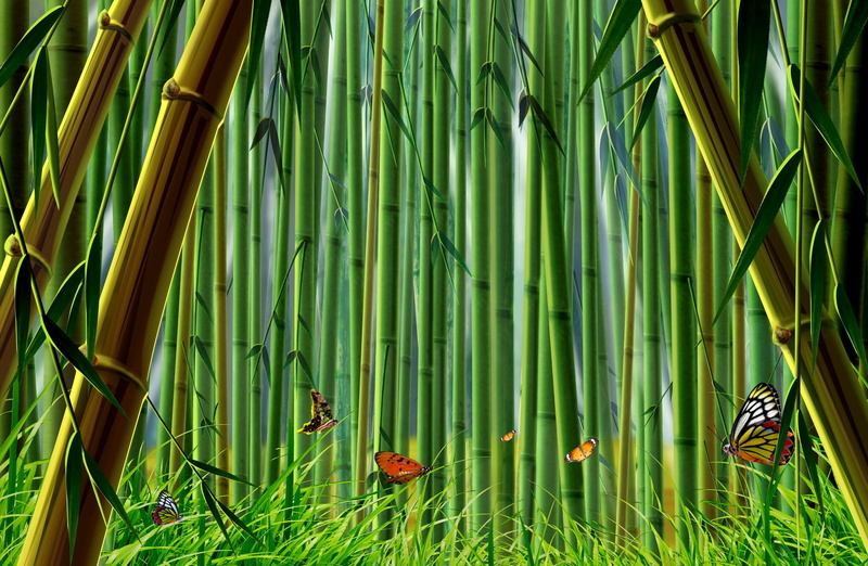day, asia, tranquility, field, animal, backgrounds, bamboo, east Asian Culture, summer, tropical Climate, butterfly, beauty In Nature, decoration, grass