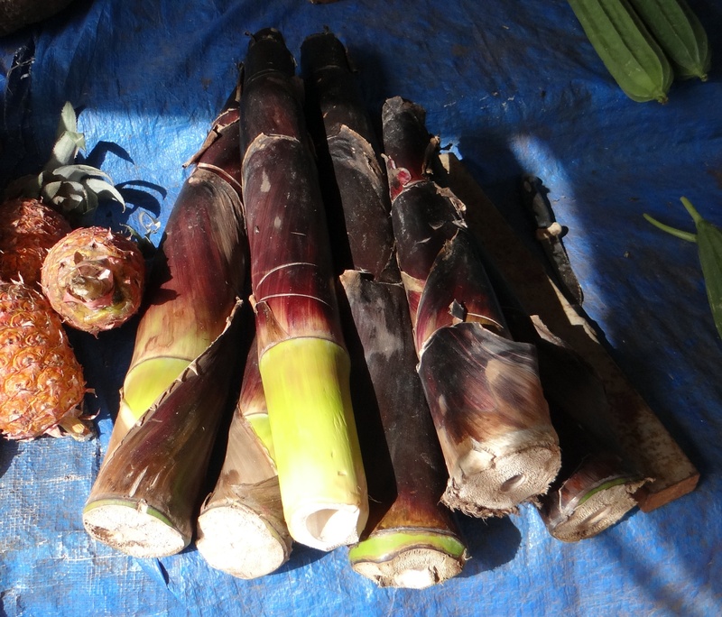 vertebrate, day, animal, freshness, india, fish, bamboo, raw food, blue, close-up, animal themes, healthy eating, stall, 2K, indoors, food and drink, goa