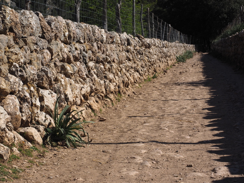 shadow play, wall, solid, the way forward, boundary, no people, outdoors, rock, land, stone wall, rock - object, drywall, day, fence, barrier, tree, transportation