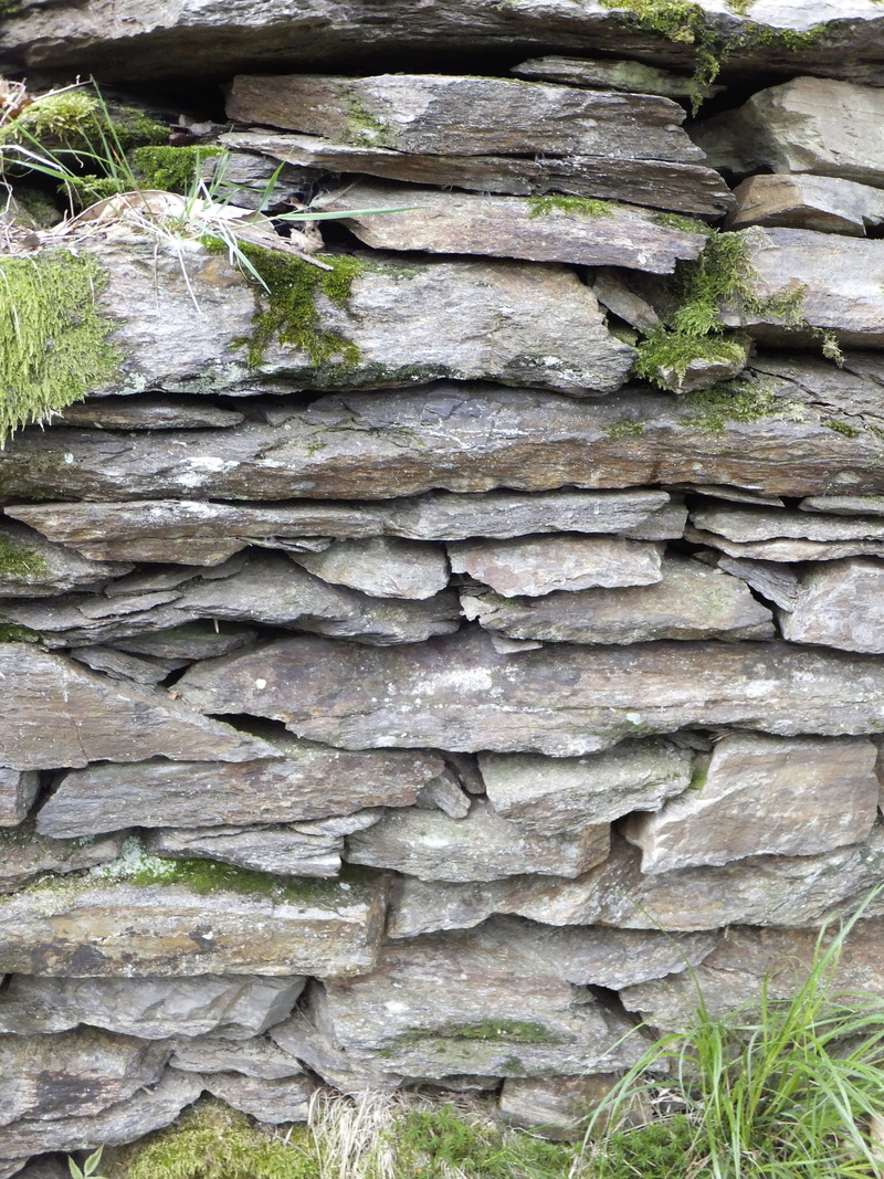 trunk, plant, stones, tree trunk, stacked, rough, wood - material, day, pattern, nature, no people, tree, full frame, wall, masonry, growth, backgrounds