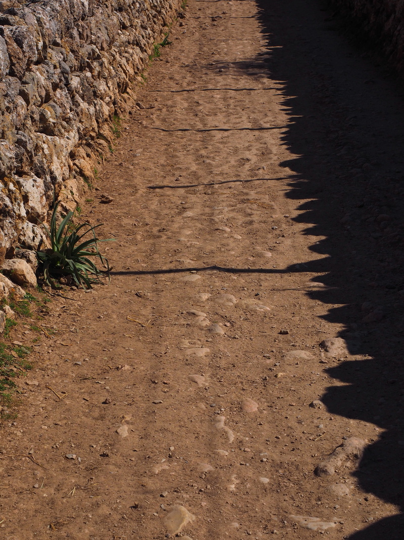 high angle view, hispanic, growth, lane, arid climate, day, water, nature, direction, sunlight, land, 4K, footpath, the way forward, tranquility, no people