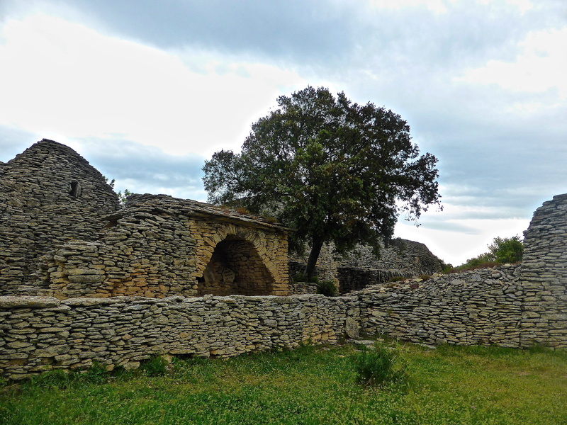 4K, plant, the past, ancient civilization, stone wall, history, outdoors, architecture, building construction, day, cloud - sky, tree, stone, ancient