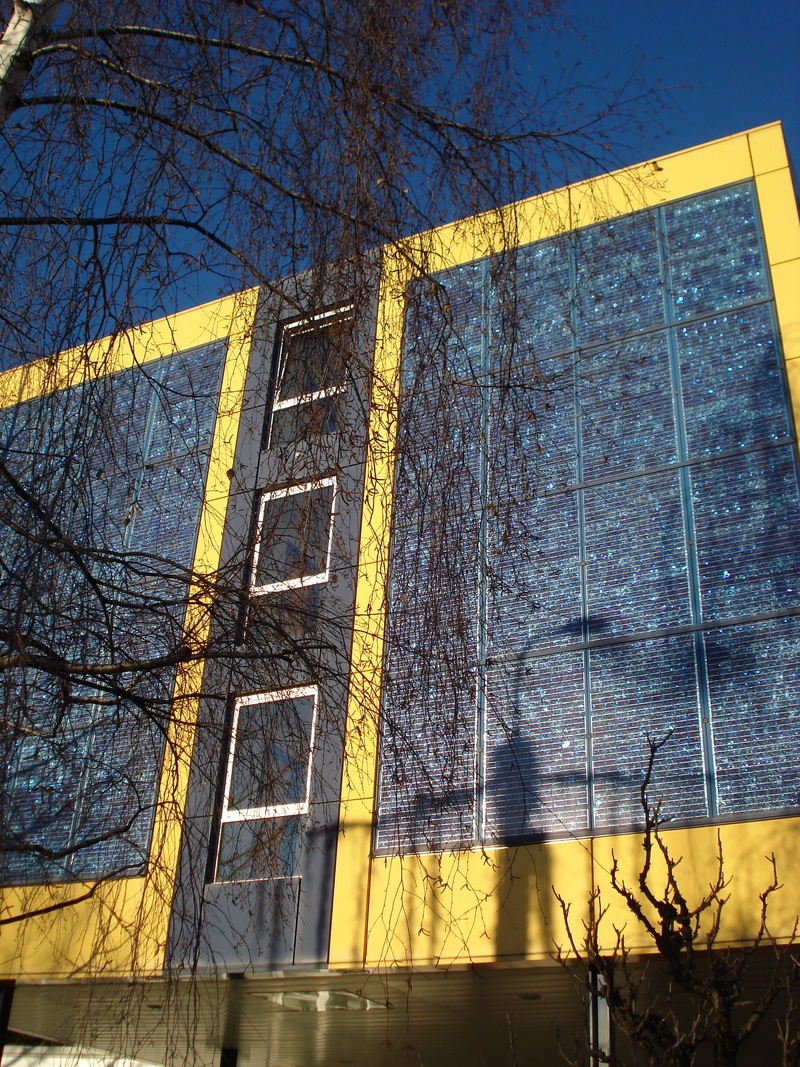 low angle view, 2K, outdoors, no people, sunlight, facade, window, building, sky, solar, solar energy, bare tree, lausanne, tree, clear sky, day, building exterior