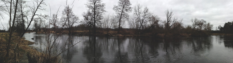 ultrawide, nature, photography, river, 8K, moss, Poland, ultra, leaves, Dead Trees, water, forest, landscape, wide