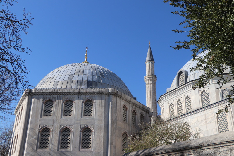 low angle view, plant, clear sky, istanbul, masjid, spire, building exterior, architecture, no people, beautiful, dome, travel, tree, building, tomb, religion