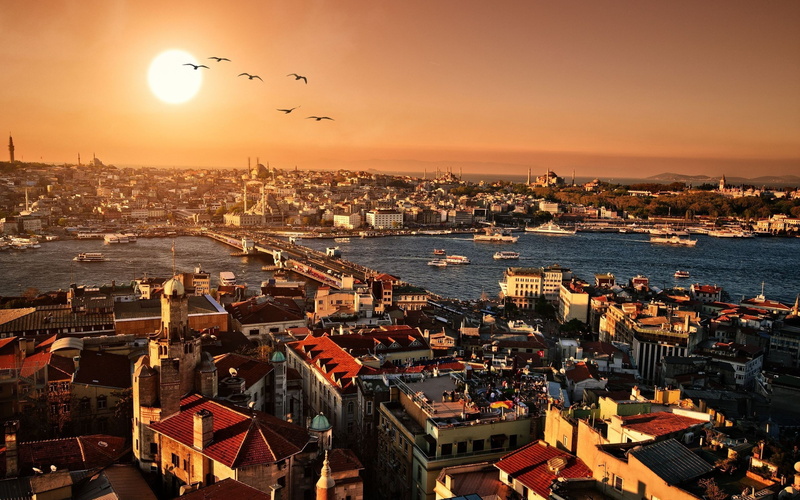 vertebrate, transportation, bird, outdoors, building exterior, nature, built structure, istanbul turkey halic galata bridge cityscape river, no people
