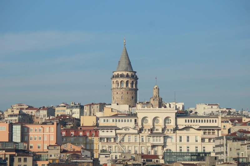 spirituality, old, estuary, the past, place of worship, outdoors, day, turkey, tower, galata tower, date, seagull, built structure, fatih, residential district