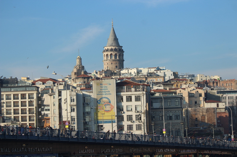 nature, fishing rod, travel, turkey, building, day, architecture, seagull, no people, beach, landscape, building exterior, istanbul, transportation, peace