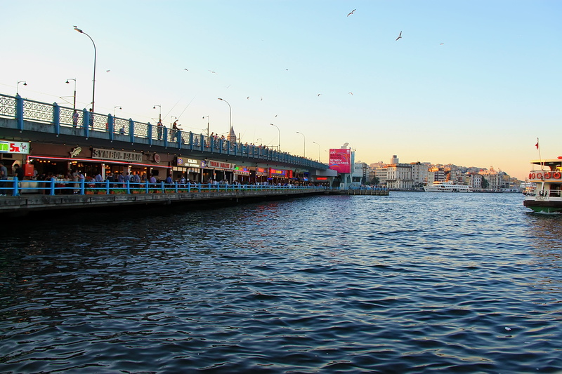 animal themes, city, transportation, bridge, no people, rippled, waterfront, nature, outdoors, built structure, sunset, day, galata, river, bird, building exterior