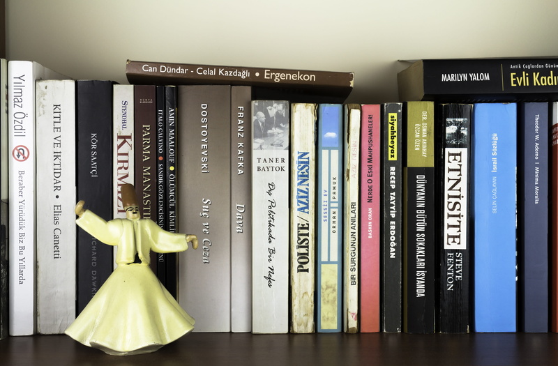 bookshelf, representation, choice, indoors, close-up, shelf, publication, education, read, background, 5K, western script, magazine, information, semazen