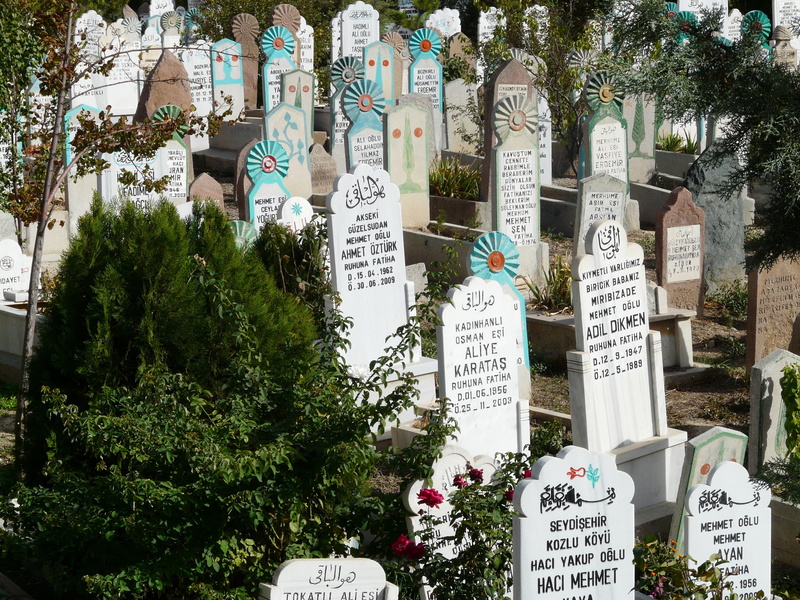 tree, grave stones, information, konya, turkey, city, growth, message, day, mevlana cemetery, sign, outdoors, mevlana, no people, built structure, non-western script