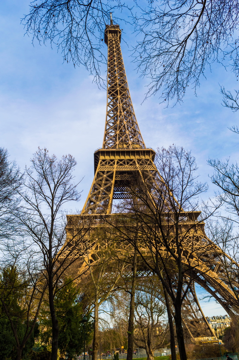 tall, tour, travel, tower, eiffel tower, day, eiffel-tower, history, europe, eiffeltower, 4K, steel, spire, architecture, branch, low angle view, city