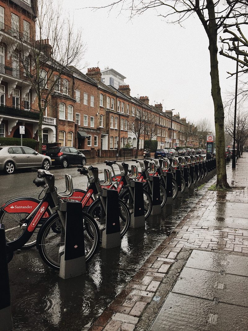 daylight, town, racks, rain, bicycles, transportation, bare tree, building, tree, city, raining, street, urban, downtown, beside, season, motor vehicle
