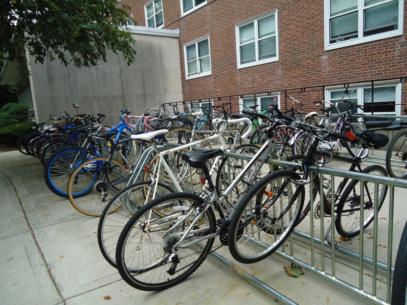 bicycles, stationary, sidewalk, bikes, building exterior, wall, window, parking lot, building, 2K, architecture, footpath, city, stand, outdoors, bicycle