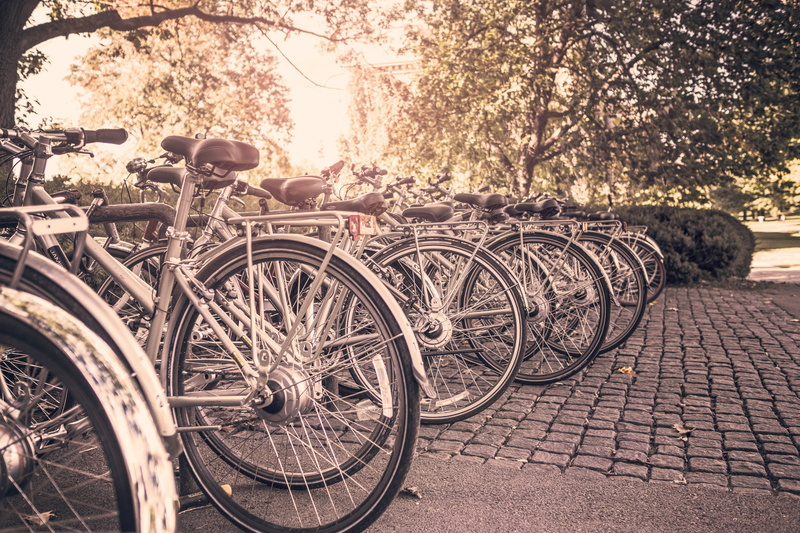 footpath, retro Styled, transportation, wheel, sports, inline, mode of transportation, bike, racks, plant, 5K, bicycle, day, cobblestone, land vehicle