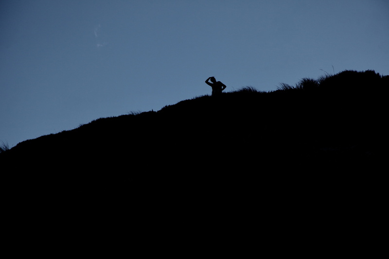 walking, one person, sky, mountain, sealy tarns track, animal, standing, nature, vertebrate, clear sky, outdoors, hiking, new zealand, silhouette, animal themes