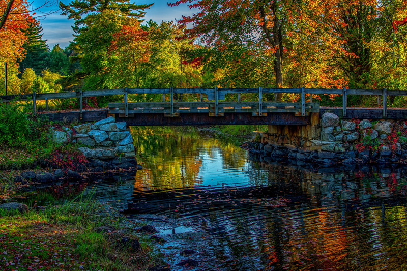 autumn, river, bridge, trees, 1080P, sky, forest, the sky