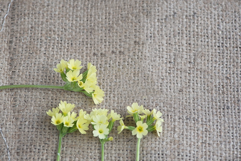 yellow, petal, jute, flower head, day, textile, plant, growth, rhododendron, grey, flowers, 1080P, fragility, flowering plant, text dom, directly above