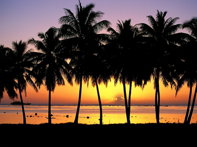 palm trees, 720P, Island, Aitutaki, Sunset