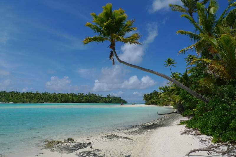 no people, sea, tranquility, tropical, nature, day, white sand, palms, cloud - sky, turquoise colored, tranquil scene, land, one foot island, tropical climate