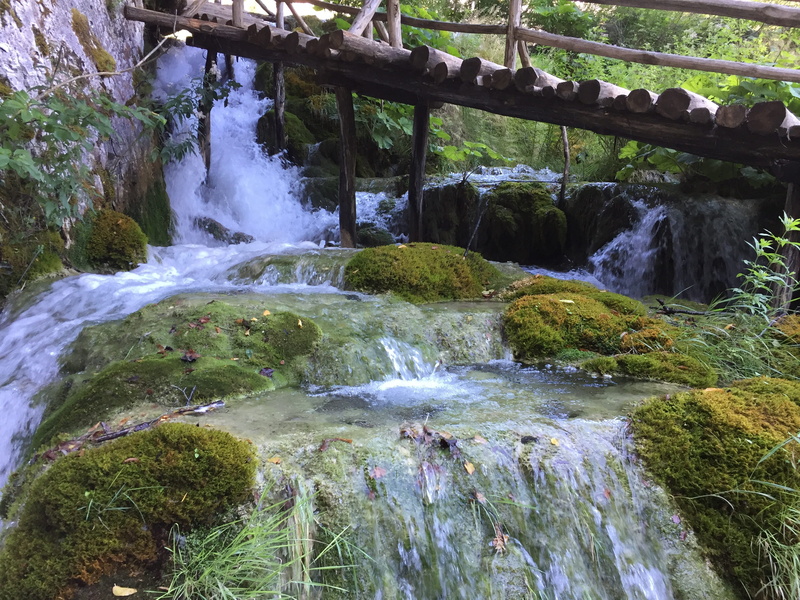 clear water, 2K, clean, lake, solid, power in nature, flowing water, world natural heritage, water, stream - flowing water, bach, plant, nature reserve