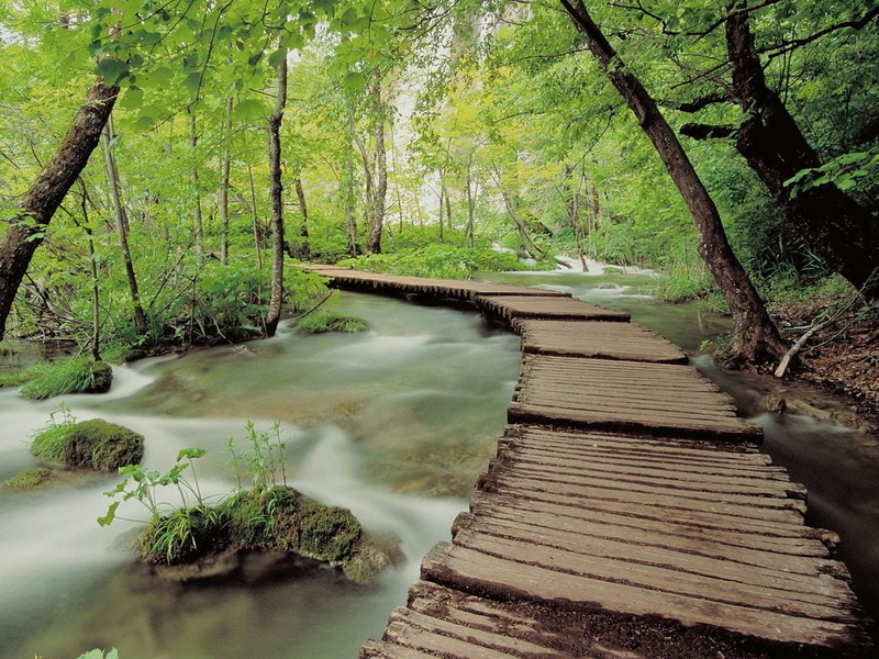stream - flowing water, green color, world, brown, non-urban scene, outdoors, footbridge, tranquility, national, tranquil scene, water, no people