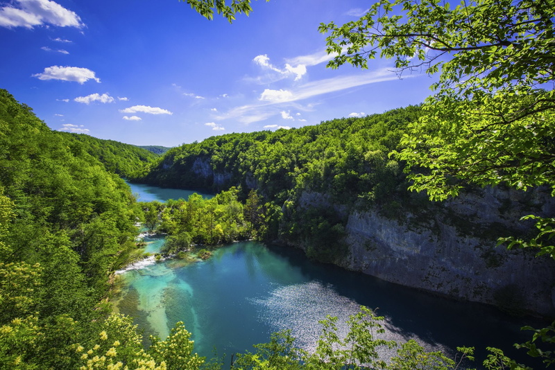1080P, Plitvice Lake, Green, Plitvice Lake National Park, Tree, Earth